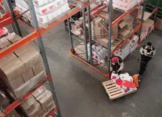 Sécurité des quais de chargement : les équipements incontournables à adopter