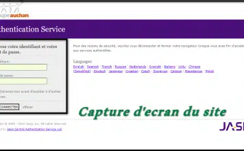 HR4You Auchan : Un Nouveau Paradigme des Ressources Humaines