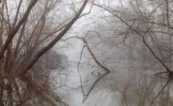 Les outils Excel avancés pour améliorer votre simulation de portage salarial