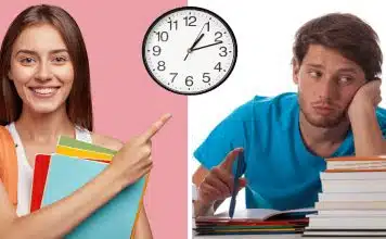 Comment créer une organisation efficace pour votre travail